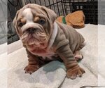 Small #8 Breeder Profile image