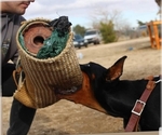 Small #7 Breeder Profile image