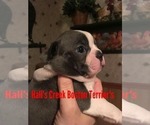 Small breeder photo