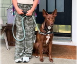 Small #25 Breeder Profile image