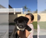 Small #4 Breeder Profile image