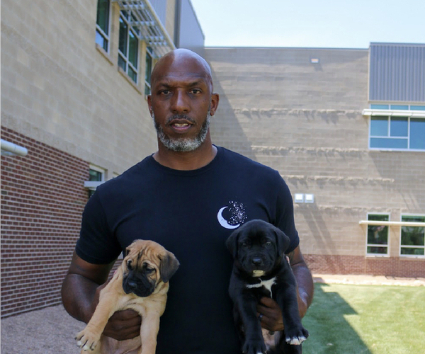 Medium Photo #1  Breeder Profile in DENVER, CO, USA