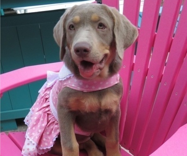 Medium Photo #4  Breeder Profile in ELIZABETH, WV, USA
