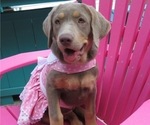 Small #3 Breeder Profile image