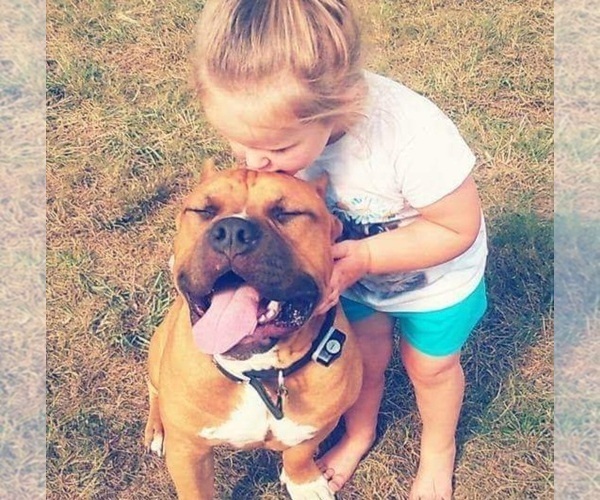 Medium Photo #1  Breeder Profile in MURFREESBORO, TN, USA