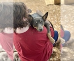 Small #67 Breeder Profile image