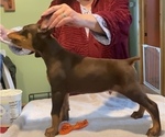Small #2 Breeder Profile image
