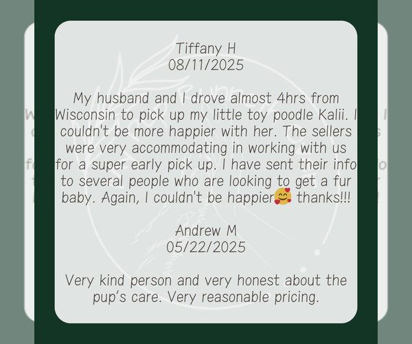 Medium Photo #3  Breeder Profile in GOSHEN, IN, USA