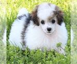 Small #3 Breeder Profile image