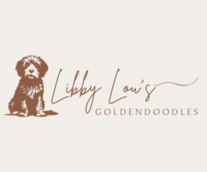 Goldendoodle (Miniature) Dog Breeder near CANTON, GA, USA