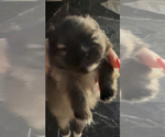 Small #4 Breeder Profile image