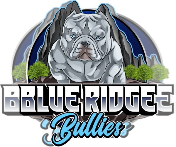 Medium Photo #1  Breeder Profile in BLUEMONT, VA, USA