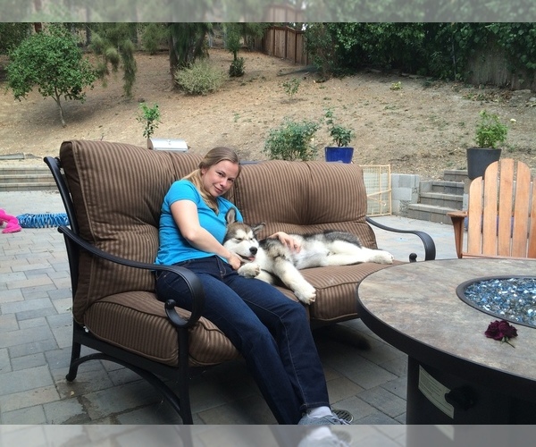 Medium Photo #4  Breeder Profile in ORINDA, CA, USA