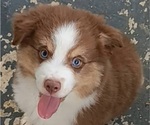 Small #20 Breeder Profile image