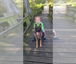 Small #1 Breeder Profile image