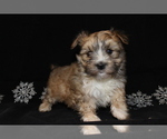 Small #5 Breeder Profile image