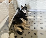 Small breeder photo
