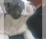 Small #7 Breeder Profile image