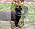 Small #19 Breeder Profile image