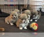 Small #4 Breeder Profile image