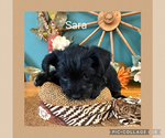 Small #5 Breeder Profile image