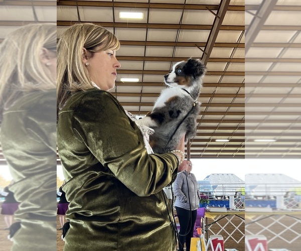 Medium Photo #3  Breeder Profile in NOLENSVILLE, TN, USA