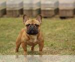 Small #7 Breeder Profile image