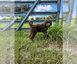 Small #3 Breeder Profile image