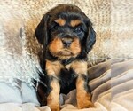 Small #5 Breeder Profile image