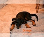 Small #5 Breeder Profile image