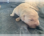Small #5 Breeder Profile image