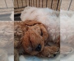 Small #73 Breeder Profile image