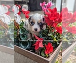 Small #17 Breeder Profile image