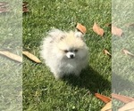 Small #24 Breeder Profile image