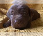 Small #9 Breeder Profile image