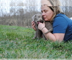 Small #6 Breeder Profile image