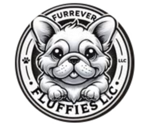 French Bulldog Dog Breeder near POMONA, CA, USA