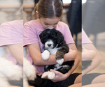 Small #13 Breeder Profile image