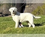 Small #2 Breeder Profile image