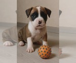 Small #4 Breeder Profile image