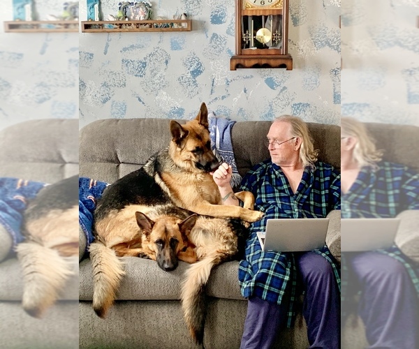 Medium Photo #1  Breeder Profile in THORNTON, CO, USA