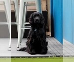 Small #13 Breeder Profile image