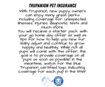 Small Photo #8  Breeder Profile in GOSHEN, IN, USA