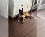 Small #22 Breeder Profile image