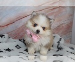 Small #23 Breeder Profile image
