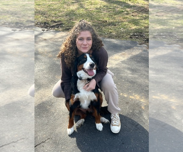Medium Photo #1  Breeder Profile in WEST LAFAYETTE, OH, USA