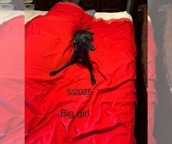 Medium Photo #2  Breeder Profile in STILLWATER, OK, USA