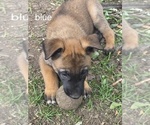 Small #16 Breeder Profile image