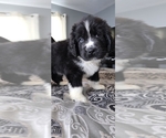 Small #52 Breeder Profile image