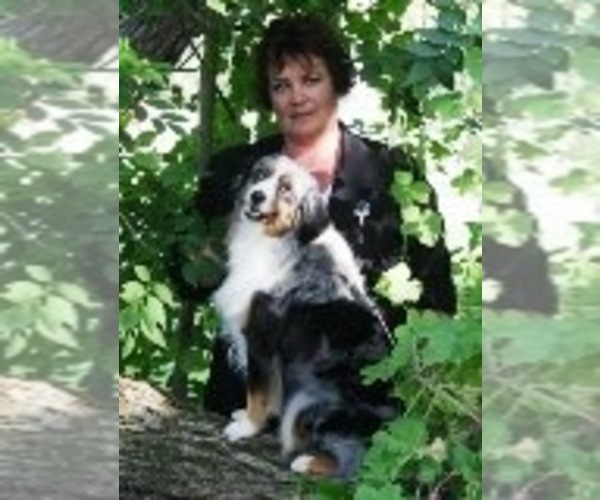 Medium Photo #3  Breeder Profile in SOLVANG, CA, USA